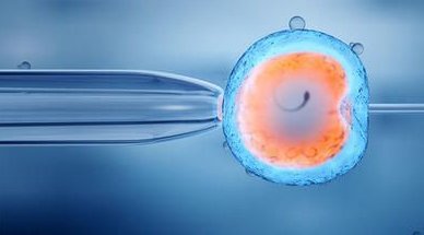 子宫纵隔生育困难可以在祁阳市做三代试管吗？子宫有问题做试管的成功率高吗？