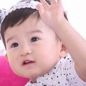 试管婴儿的费用标准及收费项目明细