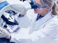 冻胚解冻有必要养囊再移植吗？