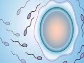 洛阳栾川县可以做试管婴儿吗，洛阳栾川县可以做试管婴儿吗多少钱