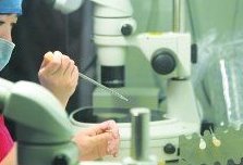 试管一促二移植成功率和双胞胎几率都高？