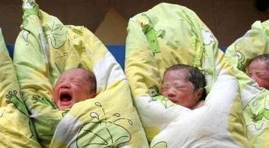 苦杏仁有毒别乱吃，孕妇盲目食用有这3大危害