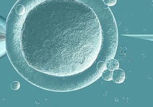 如何提高试管婴儿的成功率？试管几次可以成功？